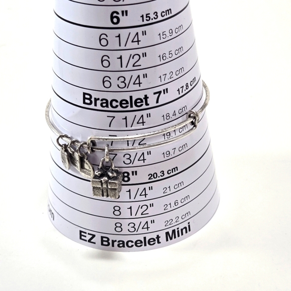Alex and Ani Adjustable Bracelet Gift Box Silver Collectible Charms - Picture 4 of 5